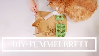 DIY Fummelbrett für Katzen  Beschäftigung nur aus Altpapier [upl. by Hills]