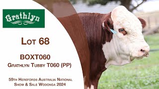 Lot 68 Grathlyn Tubby T060 PP [upl. by Ripleigh186]