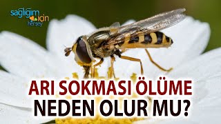 Arı Sokması Alerjisi Ölüme Neden Olur mu [upl. by Artair]