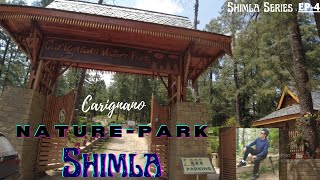 Carignano Nature Park  Mashobra  Shimla  Himachal Pradesh [upl. by Roose]