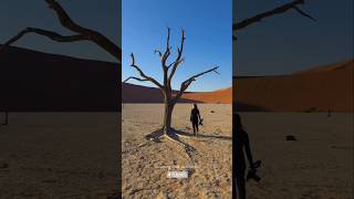 DEAD VLEI  so schön kann die Wüste sein [upl. by Orelu]