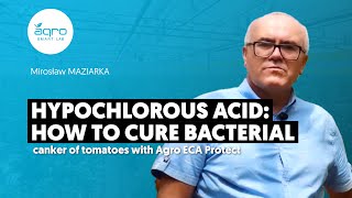 Hypochlorous Acid How To Cure Bacterial Cancer Of Tomatoes [upl. by Tybi714]