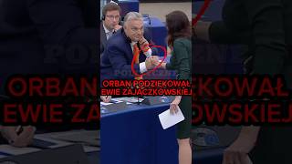 WIELKI SOJUSZ ZAJĄCZKOWSKIEJ I ORBANA polityka polskapolityka konfederacja [upl. by Rodoeht]