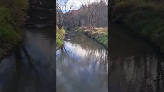 Kickapoo river shorts river nature [upl. by Babb]