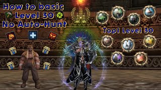 metin2 Carpathians How to basic Level 30 Without AutoHunt [upl. by Deery]