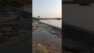 Reenaraees and Nirmal beach ⛱️ enjoy punjabi song [upl. by Yhtur]