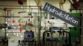 Hydrodistillation [upl. by Gearard]