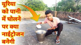 We Made Nitrogen From Urea  यूरिया से नाईट्रोजन बना दी  How to make nitrogen at home [upl. by Goldsworthy]