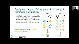 Development of a middensity genotyping platform for alfalfa [upl. by Aksehcnarf589]