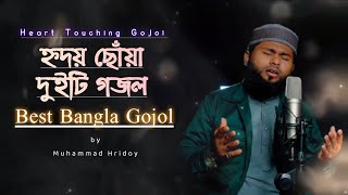 হ্নদয় ছোঁয়া সেরা দুইটি গজল  New Islamic Gojol 2024  Muhammad Hridoy  Paile Niralay amp Ogo Nobi [upl. by Ydissak]