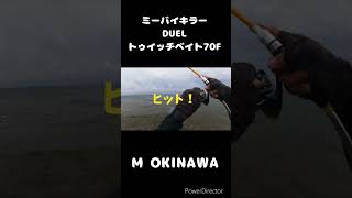 ミーバイキラー DUELトゥイッチベイト70F 沖縄ルアー釣り 釣り 沖縄釣り duel [upl. by Chappy]