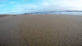 GoPro Sri Lanka  Crabs at Negombo Beach [upl. by Aznecniv]