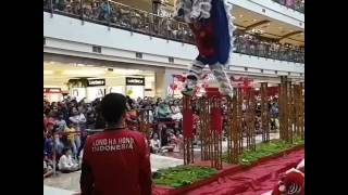 Barongsai Kong Ha Hong performance Pondok Indah Mall 2 Imlek 2017 Slowmo [upl. by Briscoe]