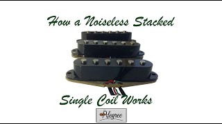 How a Noiseless Stacked Single Coil Pickup Works [upl. by Tapes165]