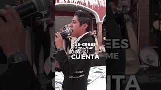 Popurrí Juan Gabriel Short  Mariachi Los Galleros De Danny Rey [upl. by Gnanmas297]