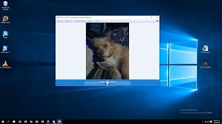 Visualizador de fotos en windows 10 [upl. by Macmillan]