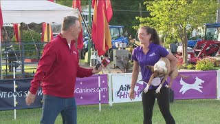 Kevin ONeill checks out the Chautauqua County Fair [upl. by Joycelin]