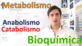 Metabolismo y Rutas metabólicas Anabolismo y Catabolismo EN 11 MINUTOS [upl. by Rodrich863]