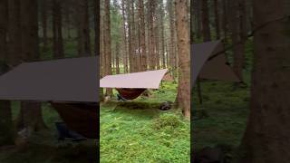 Hammock Camping In A Beautiful Forest With My Son camping hammock shorts [upl. by Ientruoc]