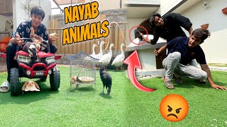 Sab Nayab Animals Mini Zoo Zoo Ma Agya 😍 Chor Ko Bht Mara 😡 [upl. by Gilpin]