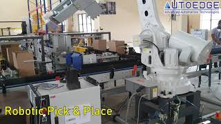 Automated Glove Case Packing Line [upl. by Nomrej]