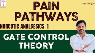 Pain Physiology Malayalam Pain Pathways Analgesics Malayalam Gate Control Theory Narcotic Analgesics [upl. by Ennasor903]