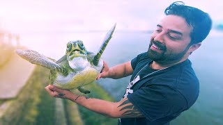 INACREDITÁVEL PESQUEI UMA TARTARUGA UM PEIXE AGULHA E VOADOR  4K [upl. by Rawlinson420]