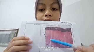 Aqilah Nurfatimah RoslamC011241042Kelompok 2Jumaidil Akbar BTUGAS GARES SITOEPITEL [upl. by Anet]