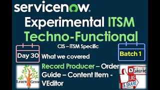 ITSM Batch 1  Day 30 Record Producer  Order Guide  Content Item  VEditor  Catalog UI Policy [upl. by Eijneb]