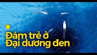 Hương Tràm  Em Gái Mưa Official MV [upl. by Benjamin853]