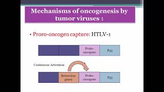 Oncogenic and oncolytic viruses [upl. by Eelasor557]