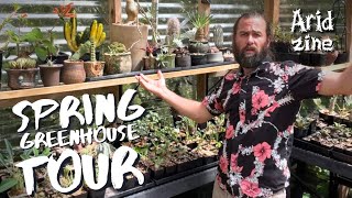 Springtime tour of the Arid Zine greenhouse  lets see whats flowering [upl. by Ynnot]