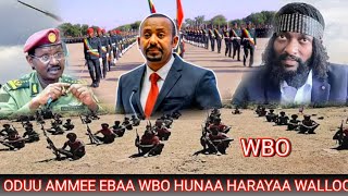 ODUU AMMEE Ebaa WBO Harayaa Kabaa Oromia Walloo KeessatiiLol aan Fanoo Fi RIB Ethiopia Jiduu [upl. by Anilah]