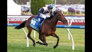 Caulfield Cup G1 2024 [upl. by Nisaj]