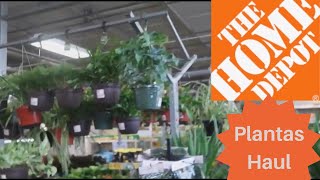 plantas en home depot [upl. by Lichter355]