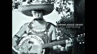 Never Shout Never  Trampoline Album Version [upl. by Esdnil658]