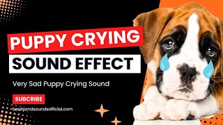 Puppy Crying Sound Effect  Beats and Sounds Official [upl. by Mullac]