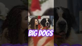 Big Dogs  Gentle Giants Facts about Dogs [upl. by Lebama]