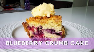 How to Make Blueberry Lemon Crumb Cake  Easy Crumb Cake Recipe [upl. by Notlok]