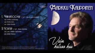 Markku Kauppinen  Joutsen Singleversio  2016 [upl. by Emilie]