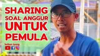 Sharing Soal Anggur Untuk Pemula Langsung dari Ahlinya kebuniyong21 masiyong02 [upl. by Hussar]