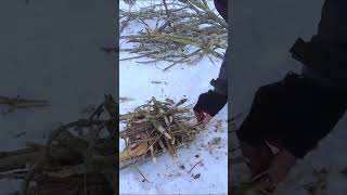 bushcraft camping survival bushcrafting skills lifehacks [upl. by Refinnaj]