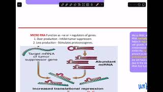 Tumor progression Aneuploidy  Micro RNA  Epigenetic Modifications [upl. by Aloeda]