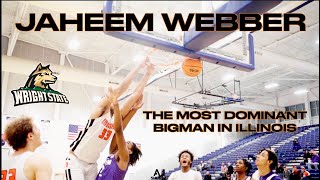 Jaheem Webber  The Most Dominant Big in Illinois Official Senior Year Mixtape [upl. by Namlas457]