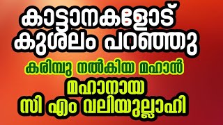 Madavoor cm valiyullahi കാട്ടാനകളോട് കുശലം പറഞ്ഞു കരിമ്പു നൽകിയ മഹാൻEpisode1 [upl. by Pontus]