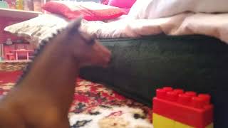 Schleich Horse Music Video Dance MonkeySpecial na SylwestraNowy Rok [upl. by Ayet]