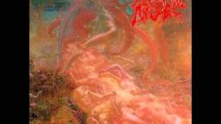 Morbid Angel  IntroFall From Grace [upl. by Daph]