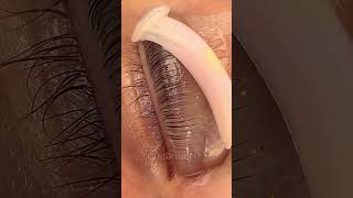 Impressive lash lift technique  Lash Flash [upl. by Arbua]