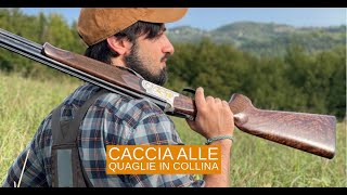 Giorni di caccia quaglie in collina [upl. by Massarelli]