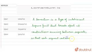 Lomentum is [upl. by Ecydnarb]